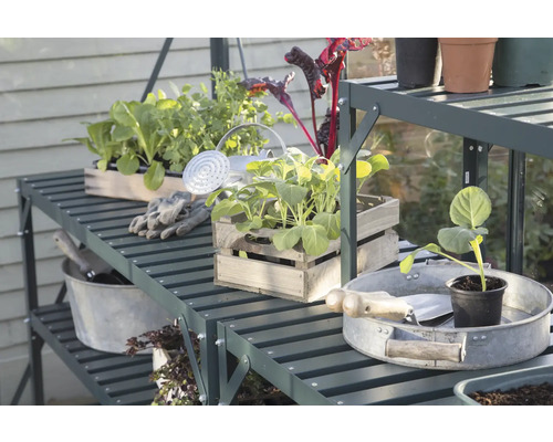 Zahradní regál s rostlinami, konví a zahradním nářadím ve skleníku.