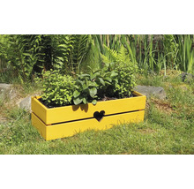 Žlutý dřevěný truhlík s motivem srdce na zahradě