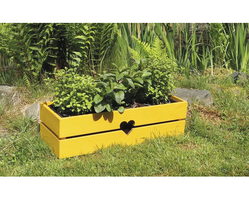 Žlutý dřevěný truhlík s motivem srdce na zahradě