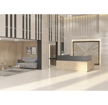 Interiér s recepcí, posezením a dekorativními prvky