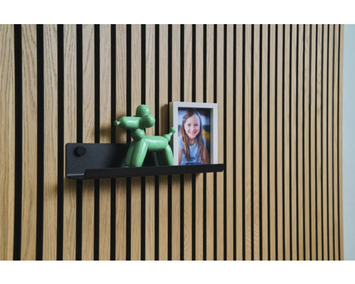 Nástěnný panel s policí, figurkou balónkového psa a rámečkem na fotografie