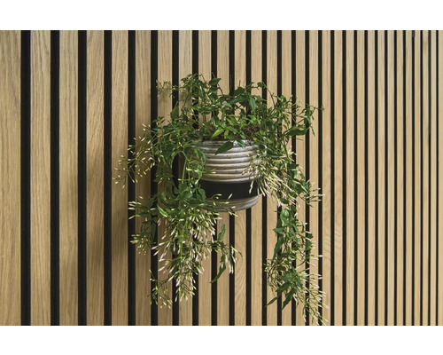 Dekorativní stěna s dřevěnými panely a hrnkovou rostlinou