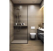 Koupelna se sprchou, toaletou a umyvadlem