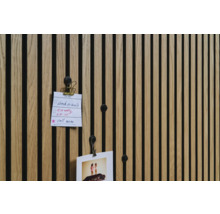 Dřevěný nástěnný panel s poznámkami a fotografií