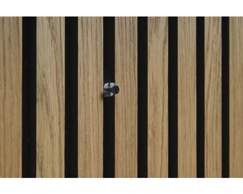 Sonava Function upevňovací body hliníková černá včetně šroubů M5 x 20 mm, balení = 4 kusy Akustický panel se šroubem pro upevnění