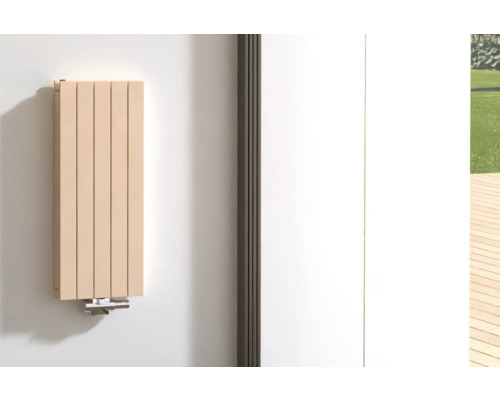 Designové topné těleso ROTHEIGNER 900 x 366 x 72 mm připojení 1 dole uprostřed Nástěnné topení v pokoji s výhledem do zahrady