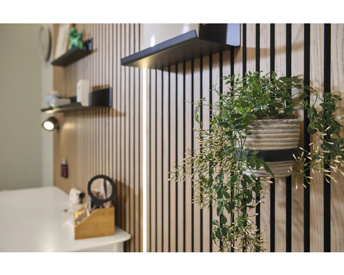 Pohled na pokoj s dřevěnými panely, černými policemi a závěsnou zelenou rostlinou v květináči