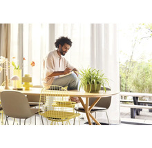 Světlá místnost s jídelním stolem, židlemi a osobou sedící na stole a píšící