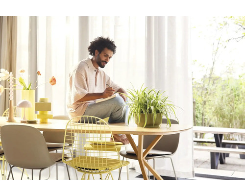 Světlá místnost s jídelním stolem, židlemi a osobou sedící na stole a píšící