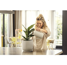 Žena zalévá pokojovou rostlinu v žebrovaném květináči konví na zalévání ve světlé místnosti