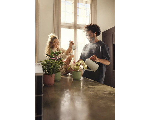 Pár zalévá a postřikuje pokojové rostliny v květináčích