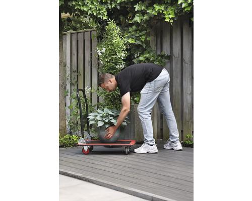 Muž přepravuje hrnkovou rostlinu s pojízdnou deskou na zahradě.