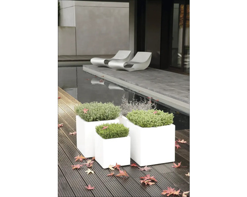 Čtvercové plastové květináče s rostlinami na dřevěné terase