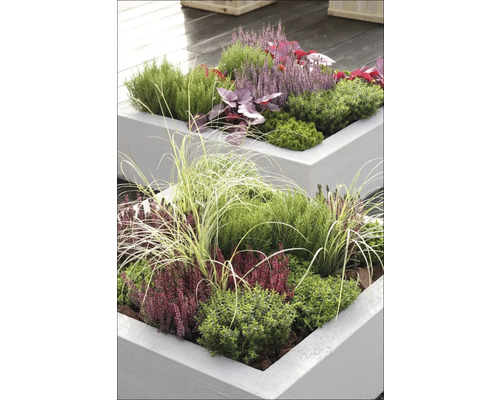 Osázené, zvýšené zahradní záhony s podzimními květinami a okrasnými trávami