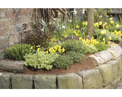 Květinový záhon s kamenným obrubníkem osázený různými květinami a rostlinami