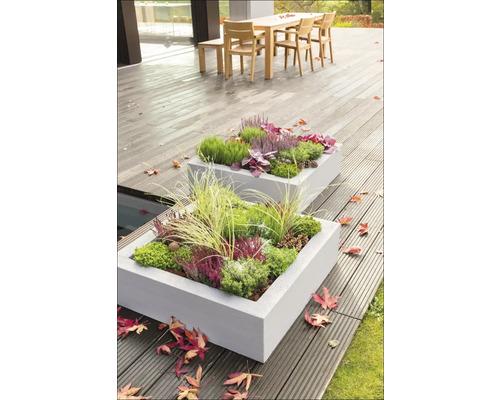 Dva osázené obdélníkové betonové květináče na terase s dřevěnou podlahou