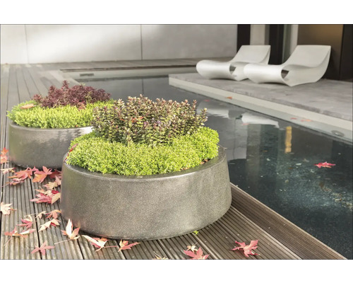 Dva osázené kamenné květináče na dřevěné terase vedle jezírka