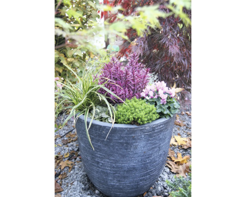 Květinové aranžmá v květináči na zahradě