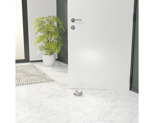 Interiérová fotografie s dveřmi, pokojovou rostlinou, kobercem a kulatým betonovým dveřním dorazem