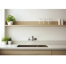 Kuchyňský dřez s vodovodní baterií, pracovní deska, police, sklenice a rostliny