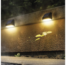 Dvě solární lampy na kamenné zdi osvětlují rostlinu.
