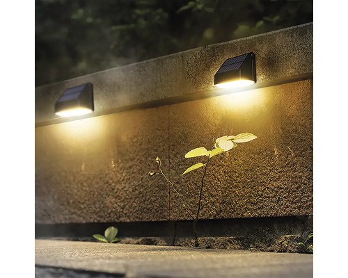 Dvě solární lampy na kamenné zdi osvětlují rostlinu.