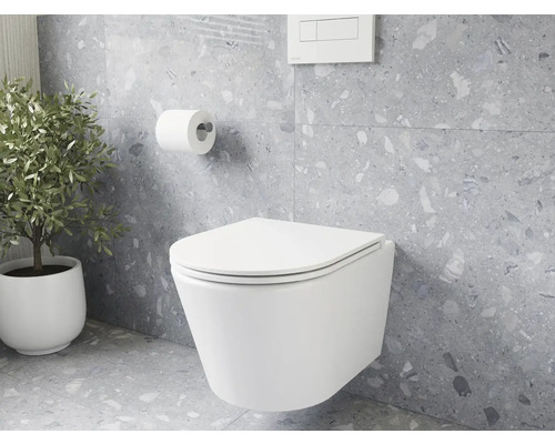 Moderní koupelna se závěsným WC, držákem na toaletní papír a pokojovou rostlinou