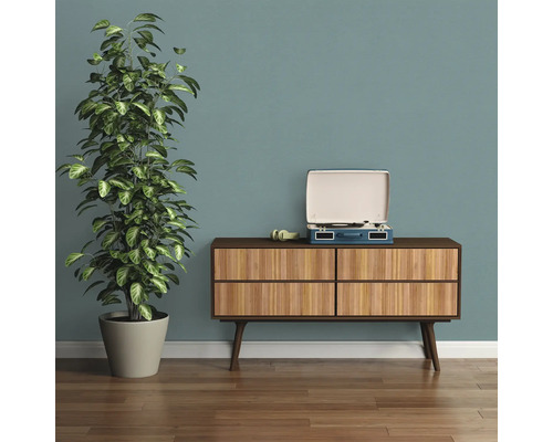 Obývací pokoj s komodou, pokojovou rostlinou a gramofonem.