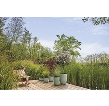 Scéna v zahradě s ženou na židli a různými osázenými květináči na dřevěné terase