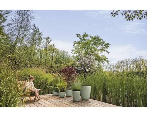 Scéna v zahradě s ženou na židli a různými osázenými květináči na dřevěné terase