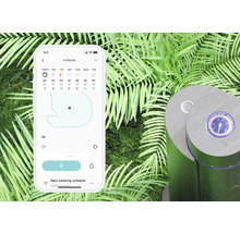 Smartphone s otevřenou aplikací IrriSense vedle zavlažovacího systému na zahradě.