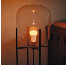 Stojací lampa se skleněným kupolem a žárovkou