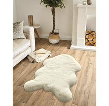 Obývací pokoj s pohovkou, krbem, pokojovou rostlinou a koberecem ve vzhledu kožešiny