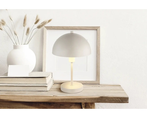 Dekorativní scéna se stolní lampou, rámem na obrázky, vázou se sušenými květinami a knihami na dřevěném stole