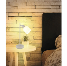 Stolní lampa na nočním stolku vedle postele a hrnkové rostliny