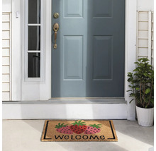 Rohožka s motivem jahod a nápisem Vítejte před vchodovými dveřmi