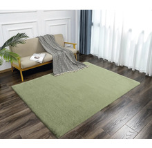 Obývací pokoj s pohovkou a zeleným kobercem na dřevěné podlaze