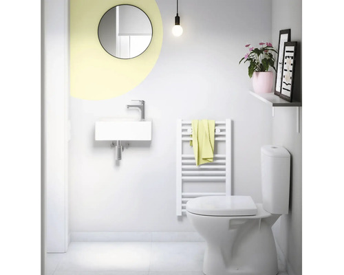 Koupelna s umyvadlem, zrcadlem, radiátorem, toaletou a dekorací