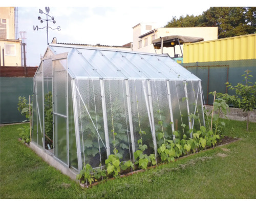 Skleník na zahradě s rostlinami a větrnou korouhvičkou