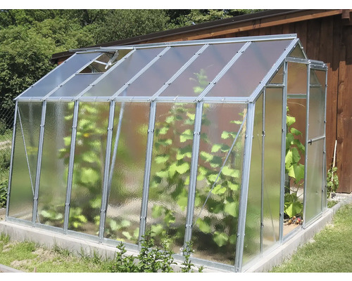 Skleník s rostlinami na zahradě