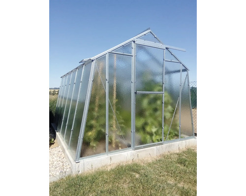 Skleník s rostlinami v zahradě