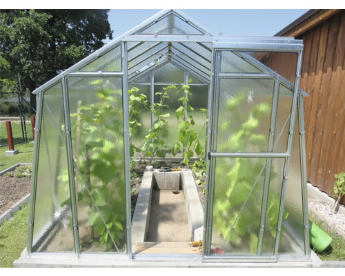 Skleník s rostlinami na zahradě