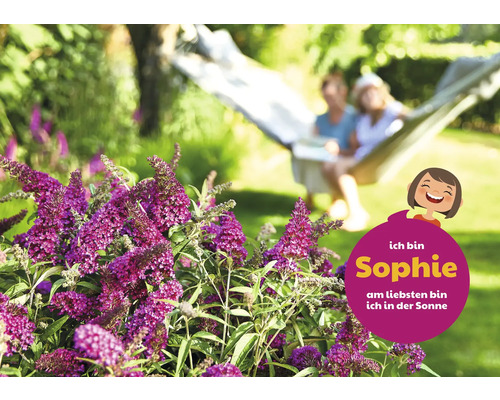 Motýlí keř na zahradě s odpočívajícími lidmi v houpací síti