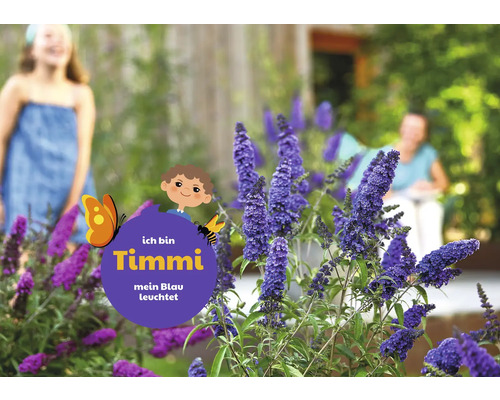 Motýlí keř na zahradě s dítětem v pozadí