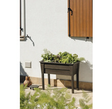 Dřevěný vyvýšený záhon se salátem zasazeným v zahradě.