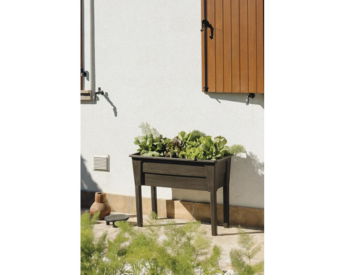 Dřevěný vyvýšený záhon se salátem zasazeným v zahradě.