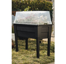 Zvýšený záhon s průhledným víkem a rostlinami na trávníku.