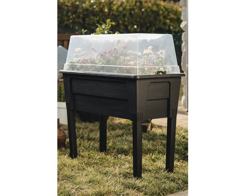 Zvýšený záhon s průhledným víkem a rostlinami na trávníku.