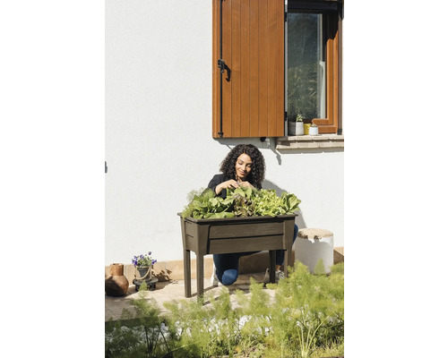 Žena sklízí salát z vyvýšeného záhonu na zahradě.