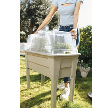 Zvýšený záhon s průhledným krytem a rostlinami na zahradě